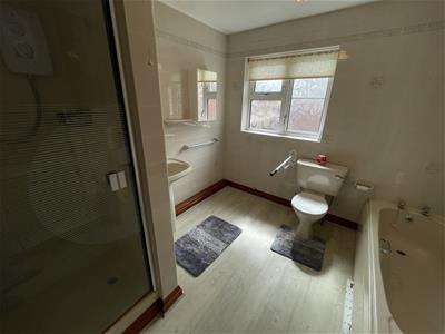 Picture 14